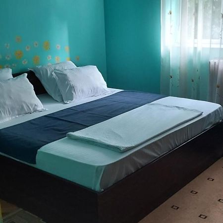 Apartament Gara Mica Διαμέρισμα Αράντ Εξωτερικό φωτογραφία
