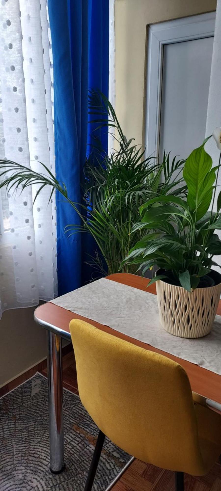 Apartament Gara Mica Διαμέρισμα Αράντ Εξωτερικό φωτογραφία